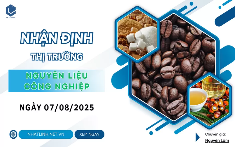 NHẬN ĐỊNH: NHÓM NGUYÊN LIỆU - CÔNG NGHIỆP NGÀY 07/08/2025